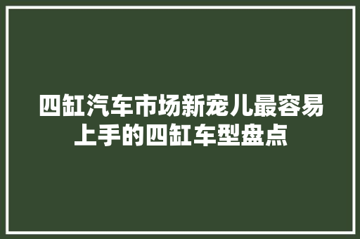 四缸汽车市场新宠儿最容易上手的四缸车型盘点