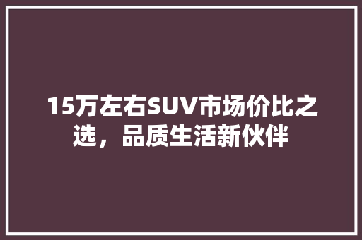 15万左右SUV市场价比之选，品质生活新伙伴