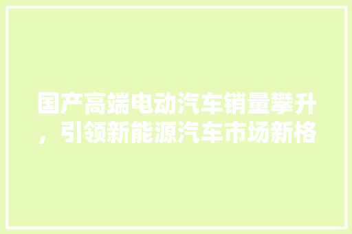 国产高端电动汽车销量攀升，引领新能源汽车市场新格局