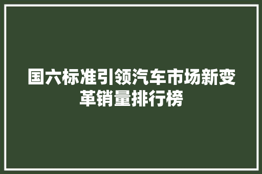 国六标准引领汽车市场新变革销量排行榜