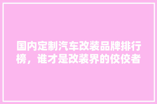 国内定制汽车改装品牌排行榜，谁才是改装界的佼佼者