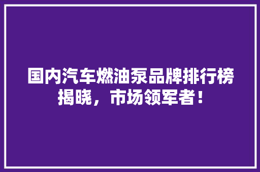 国内汽车燃油泵品牌排行榜揭晓，市场领军者！