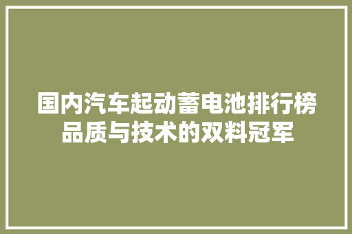 国内汽车起动蓄电池排行榜品质与技术的双料冠军