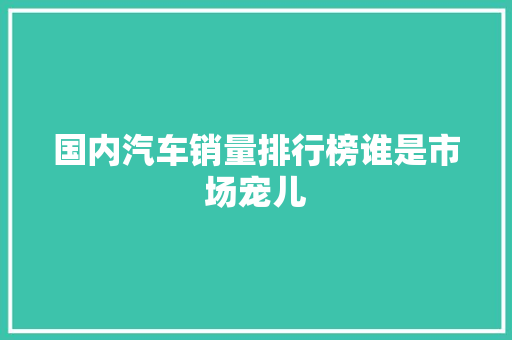 国内汽车销量排行榜谁是市场宠儿