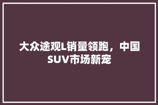 大众途观L销量领跑，中国SUV市场新宠
