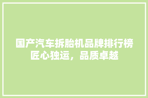 国产汽车拆胎机品牌排行榜匠心独运，品质卓越