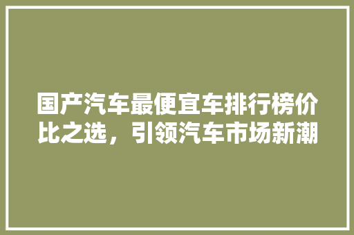 国产汽车最便宜车排行榜价比之选，引领汽车市场新潮流