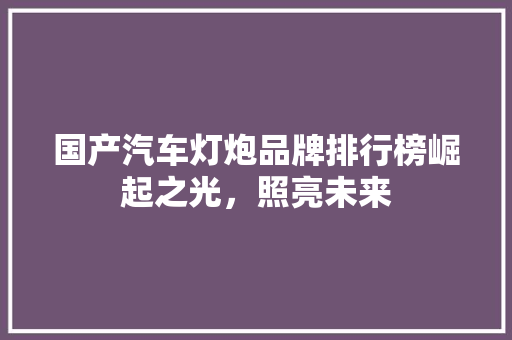 国产汽车灯炮品牌排行榜崛起之光，照亮未来