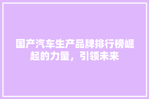 国产汽车生产品牌排行榜崛起的力量，引领未来