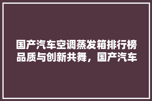 国产汽车空调蒸发箱排行榜品质与创新共舞，国产汽车空调崛起