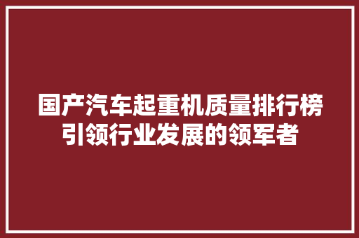 国产汽车起重机质量排行榜引领行业发展的领军者