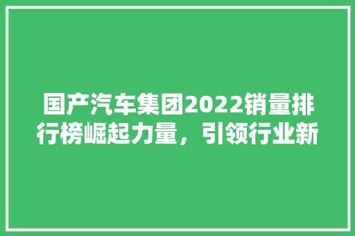 国产汽车集团2022销量排行榜崛起力量，引领行业新篇章