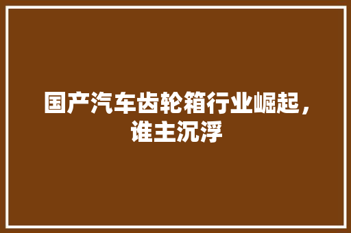国产汽车齿轮箱行业崛起，谁主沉浮
