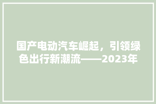 国产电动汽车崛起，引领绿色出行新潮流——2023年中国电动汽车保有量排行榜