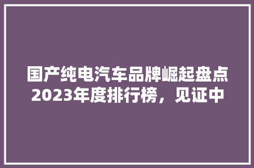 国产纯电汽车品牌崛起盘点2023年度排行榜，见证中国智造的辉煌