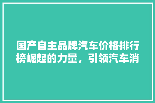 国产自主品牌汽车价格排行榜崛起的力量，引领汽车消费新趋势
