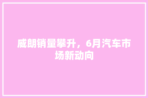 威朗销量攀升，6月汽车市场新动向