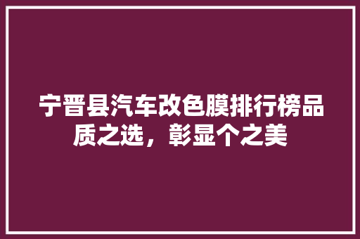 宁晋县汽车改色膜排行榜品质之选，彰显个之美
