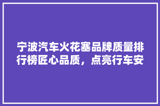 宁波汽车火花塞品牌质量排行榜匠心品质，点亮行车安全之路
