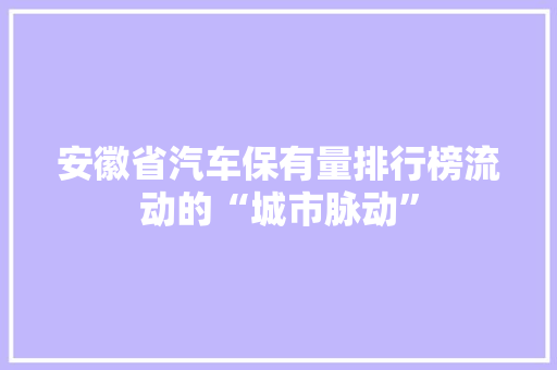 安徽省汽车保有量排行榜流动的“城市脉动”