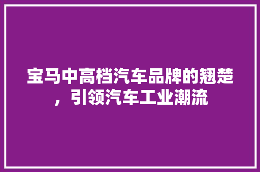 宝马中高档汽车品牌的翘楚，引领汽车工业潮流
