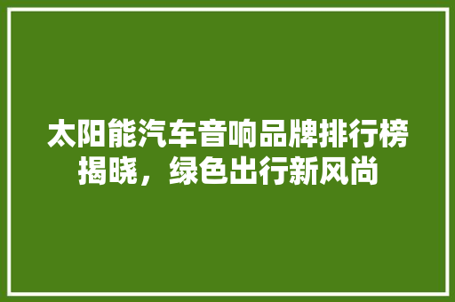 太阳能汽车音响品牌排行榜揭晓，绿色出行新风尚