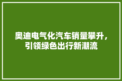 奥迪电气化汽车销量攀升，引领绿色出行新潮流