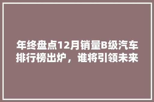 年终盘点12月销量B级汽车排行榜出炉，谁将引领未来市场