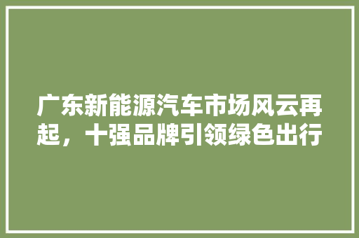广东新能源汽车市场风云再起，十强品牌引领绿色出行新潮流