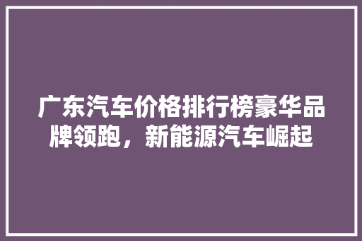 广东汽车价格排行榜豪华品牌领跑，新能源汽车崛起