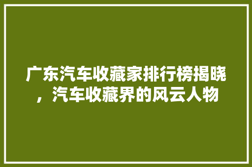 广东汽车收藏家排行榜揭晓，汽车收藏界的风云人物