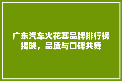 广东汽车火花塞品牌排行榜揭晓，品质与口碑共舞