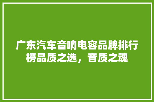 广东汽车音响电容品牌排行榜品质之选，音质之魂
