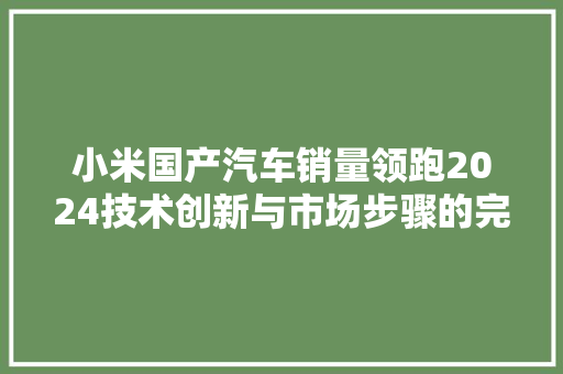 小米国产汽车销量领跑2024技术创新与市场步骤的完美融合