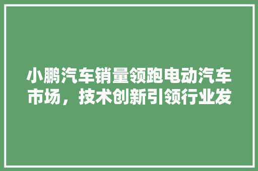 小鹏汽车销量领跑电动汽车市场，技术创新引领行业发展
