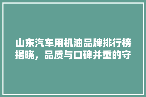 山东汽车用机油品牌排行榜揭晓，品质与口碑并重的守护者