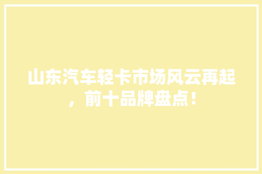 山东汽车轻卡市场风云再起，前十品牌盘点！