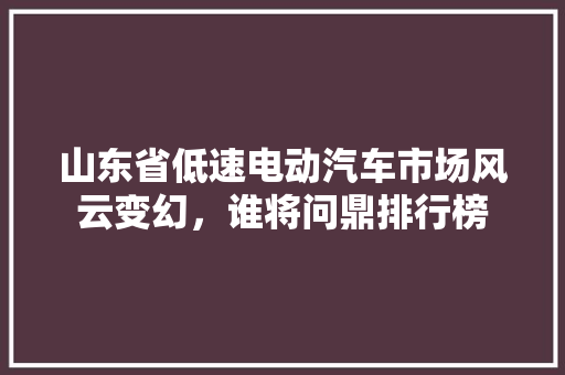 山东省低速电动汽车市场风云变幻，谁将问鼎排行榜