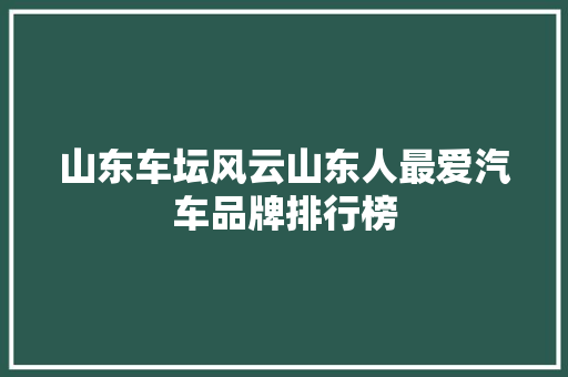 山东车坛风云山东人最爱汽车品牌排行榜
