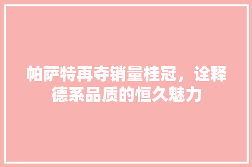 帕萨特再夺销量桂冠，诠释德系品质的恒久魅力