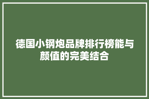 德国小钢炮品牌排行榜能与颜值的完美结合