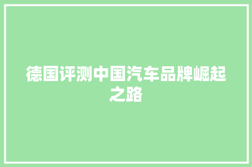 德国评测中国汽车品牌崛起之路