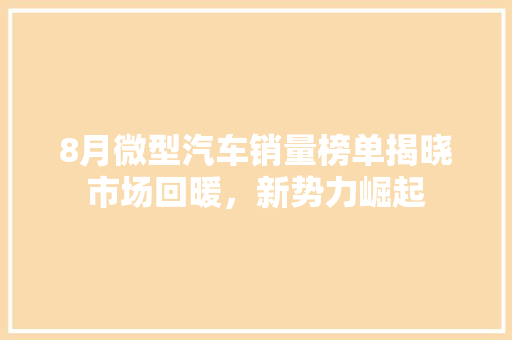 8月微型汽车销量榜单揭晓市场回暖，新势力崛起