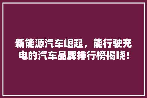 新能源汽车崛起，能行驶充电的汽车品牌排行榜揭晓！