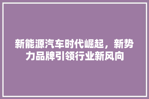 新能源汽车时代崛起，新势力品牌引领行业新风向