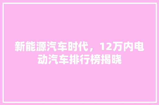 新能源汽车时代，12万内电动汽车排行榜揭晓