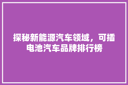 探秘新能源汽车领域，可插电池汽车品牌排行榜