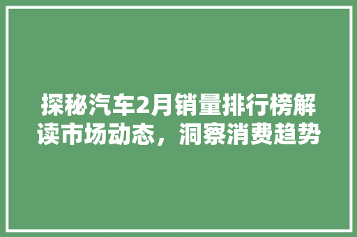 探秘汽车2月销量排行榜解读市场动态，洞察消费趋势