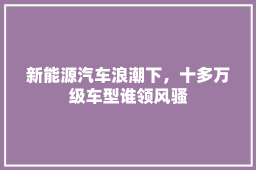 新能源汽车浪潮下，十多万级车型谁领风骚