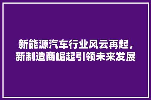 新能源汽车行业风云再起，新制造商崛起引领未来发展